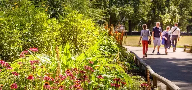 Flowers in Victoria Tower Gardens