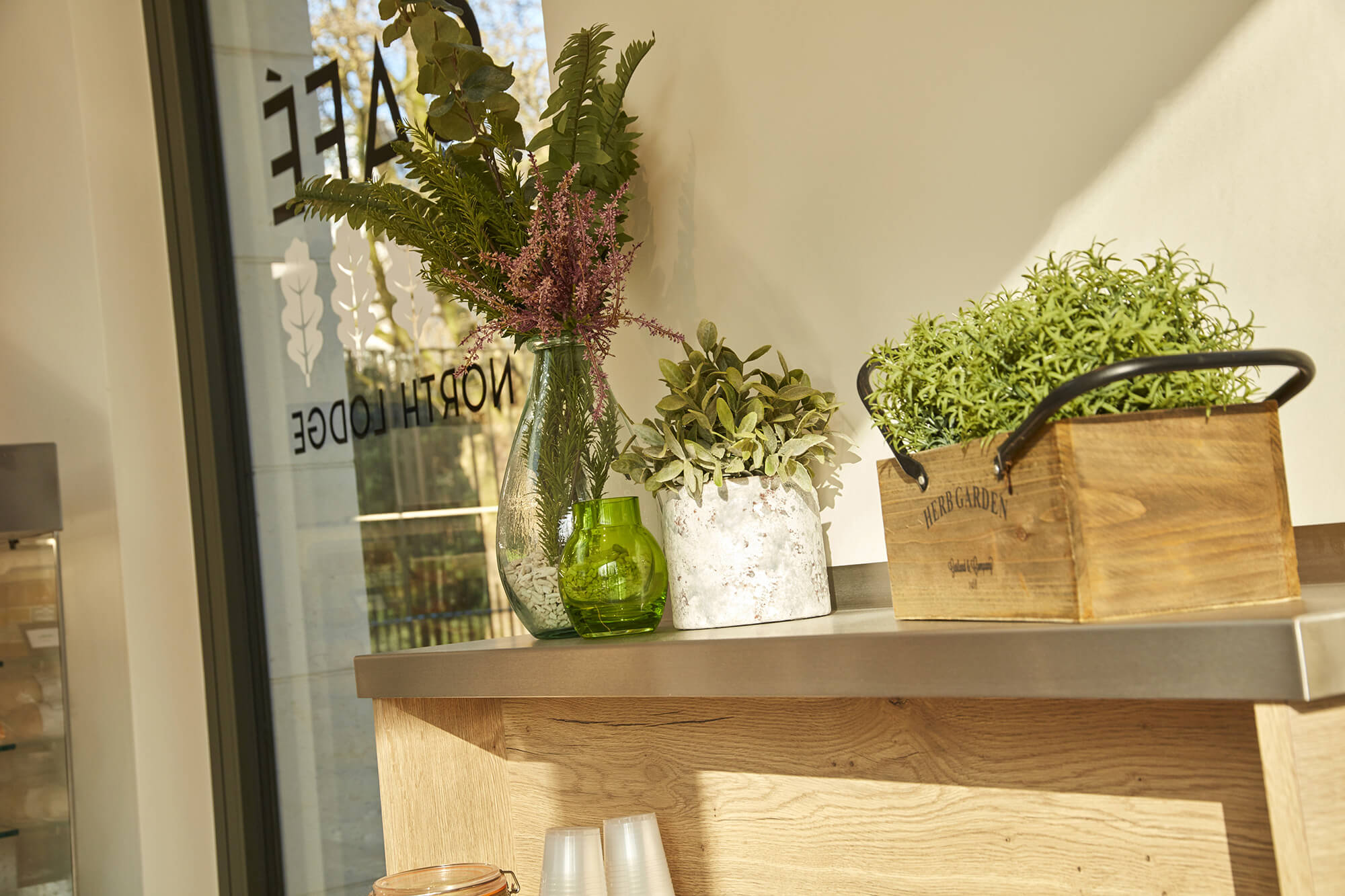 Decorative plants in the North Lodge Café