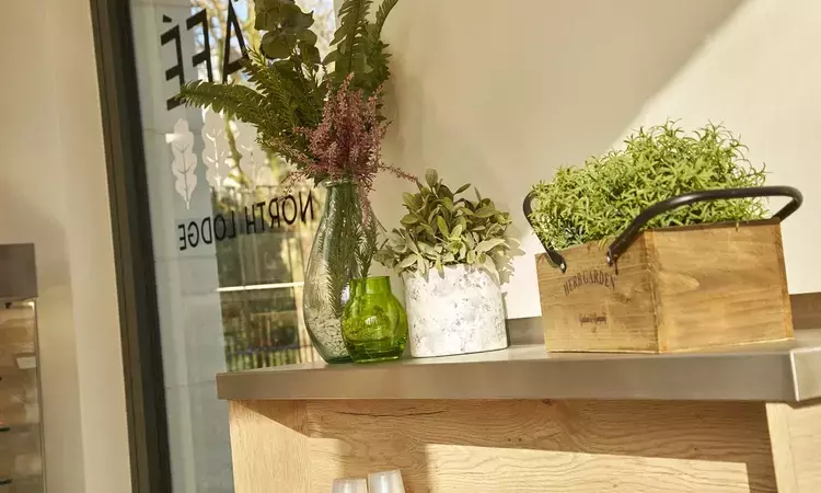 Decorative plants in the North Lodge Café