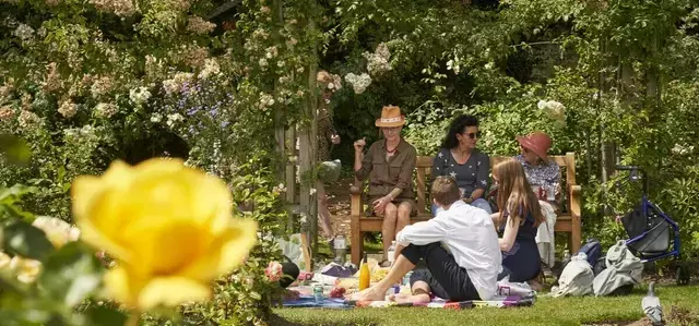 Picnic in Queen Mary's Gardens