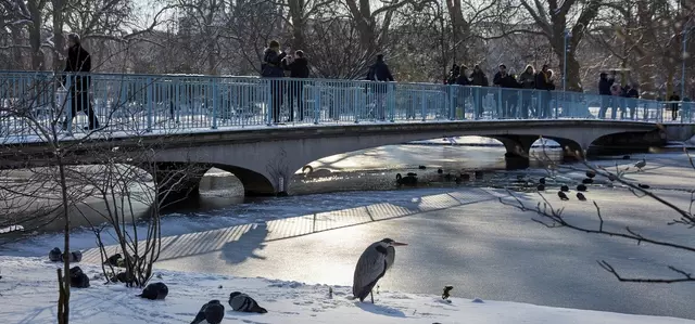 The blue bridge in winter