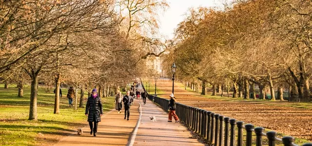 Walking & cycling path by the Rotten Row in Hyde Park