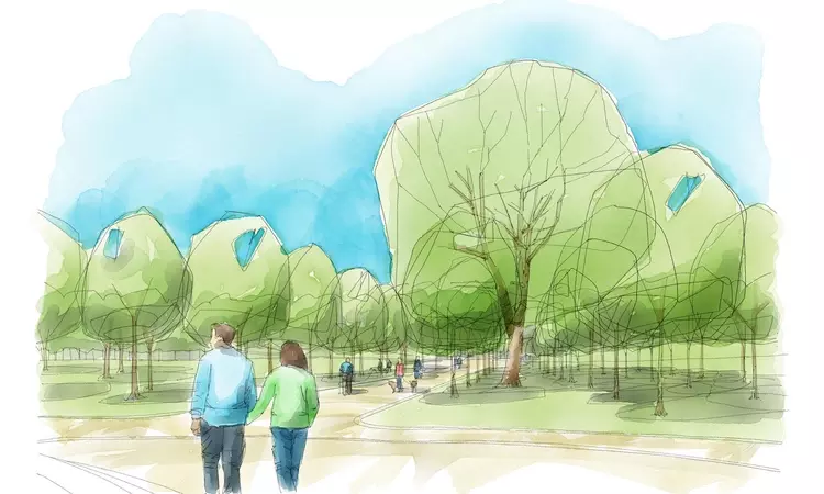 Artist's impression of restored tree avenue